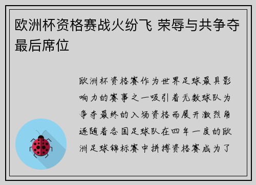 欧洲杯资格赛战火纷飞 荣辱与共争夺最后席位
